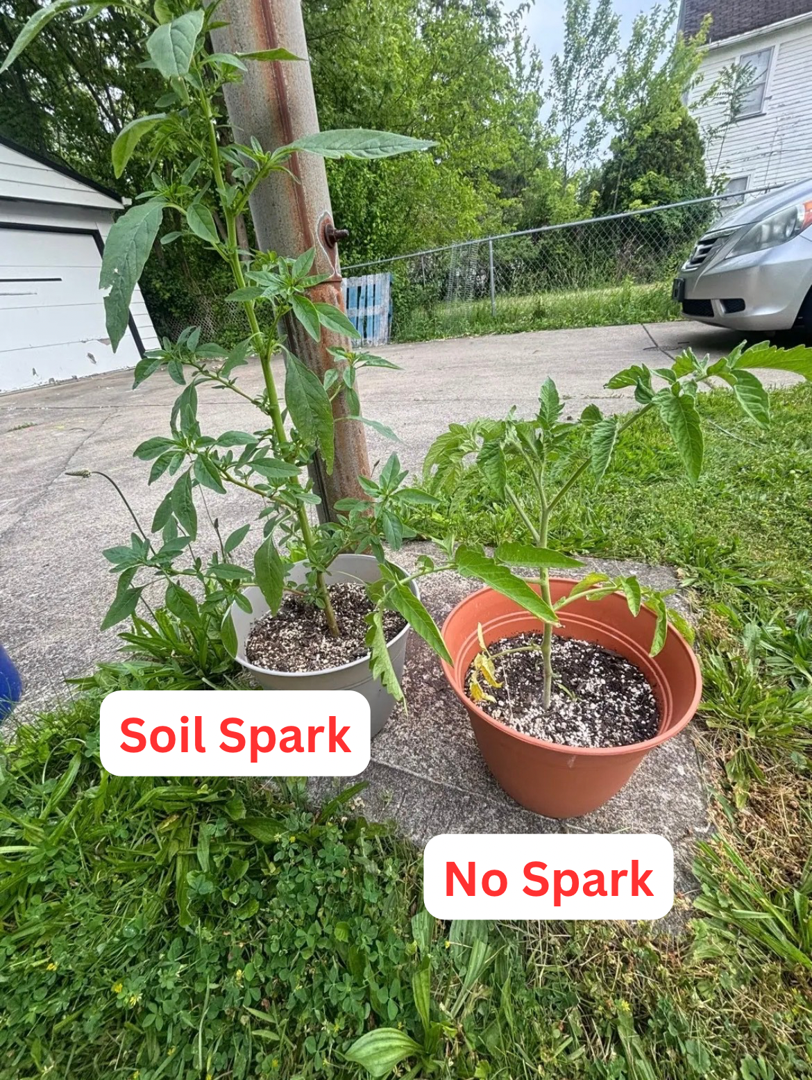 Soil Spark (Plant Metabolic Primer)